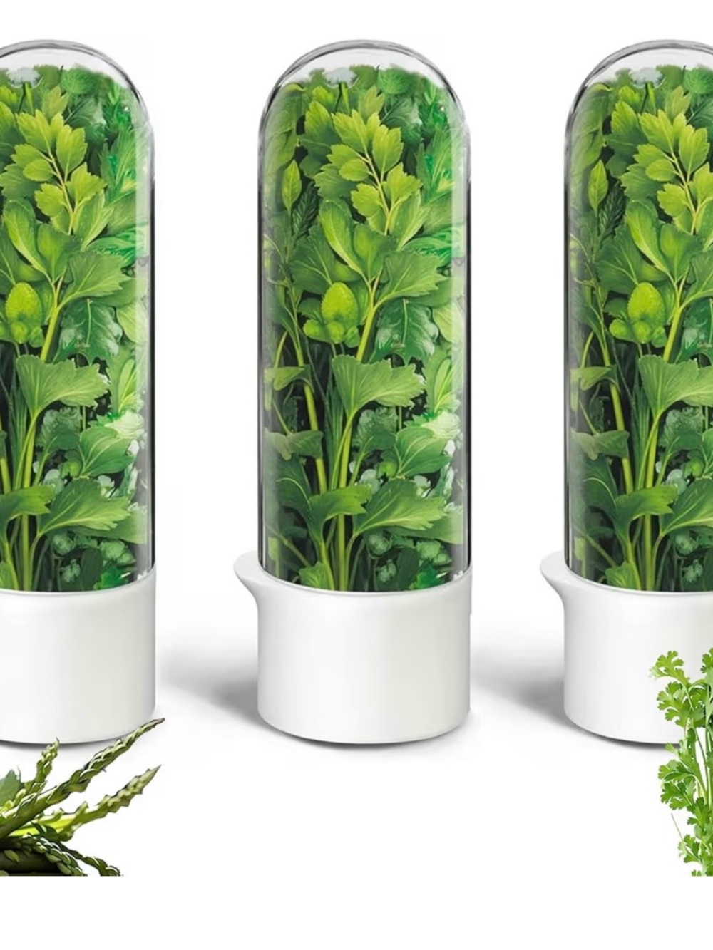 Herb Keeper Fresh Greens Storage Pod - set of 3